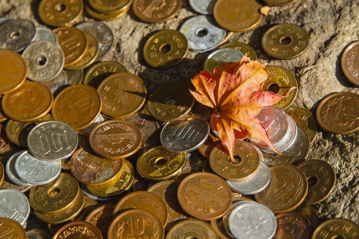 もみじの葉が一枚のった、たくさんの日本の硬貨